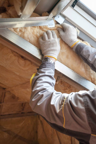 Best Wall Insulation Contractor  in Cleveland, OK